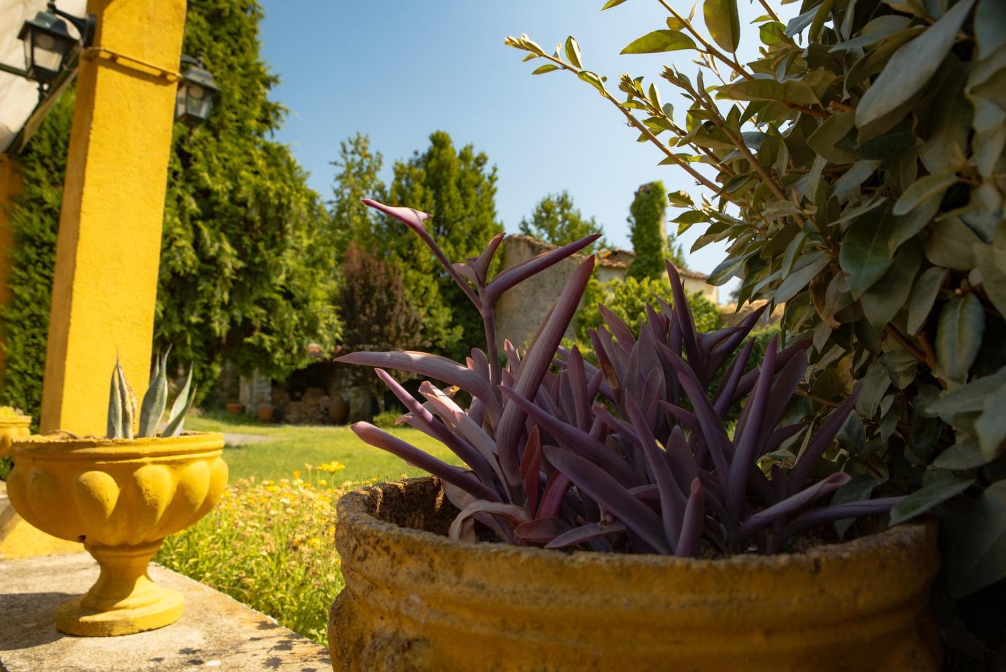 A Sobreirinha Jacuzzi E Pet Friendly Villa Sobreira Formosa Exterior photo